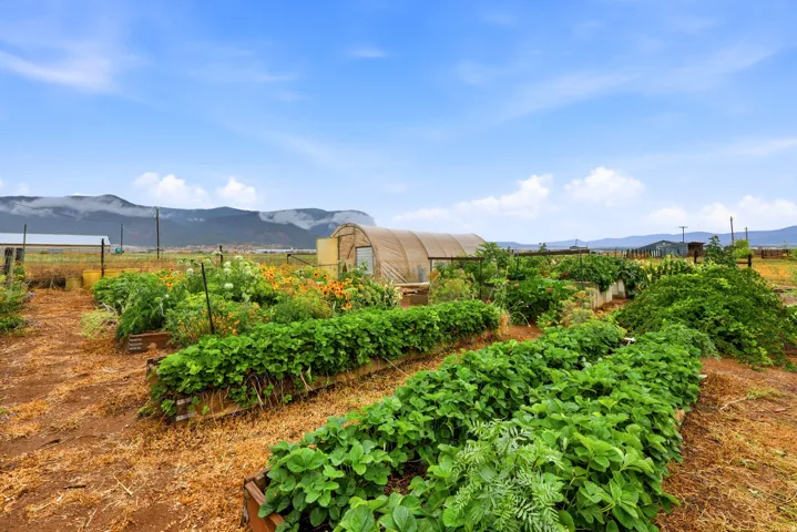 Cultivated garden beds, hoop house, and expansive open-air planting areas