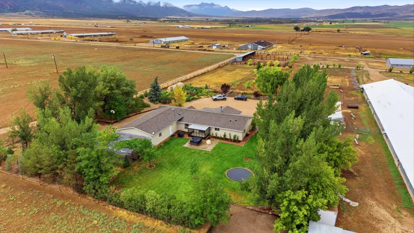 Expansive property with a single-story residence, surrounded by mature trees and open land