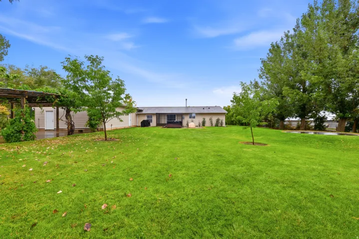 Expansive green lawn with mature trees and a detached structure featuring a pergola