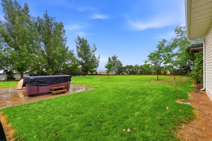 Expansive lawn area, concrete patio, mature trees, and a hot tub
