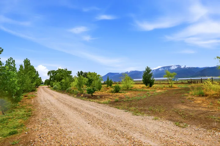 Gravel pathway framed by mature trees, with expansive natural landscape