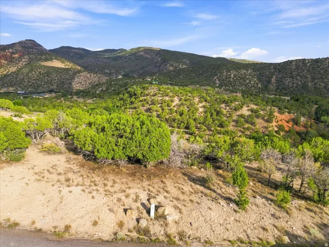 Expansive natural landscape featuring rolling hills, varied green foliage, and distant mountain forms