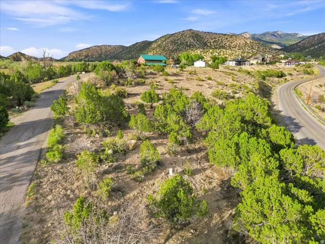 Expansive undeveloped land featuring mature trees and a paved access road