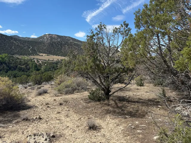 Expansive natural terrain featuring mature trees, distant mountains, and varied ground cover