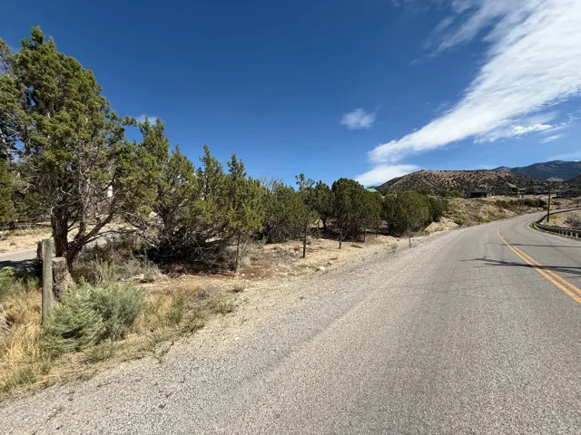 Roadside frontage with a natural landscape, mature evergreen trees, and distant mountain topography