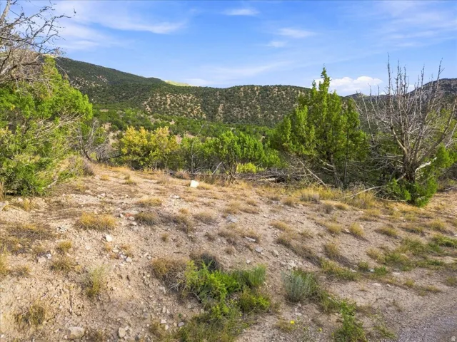 Expansive natural landscape featuring rolling hills and diverse vegetation under a clear sky