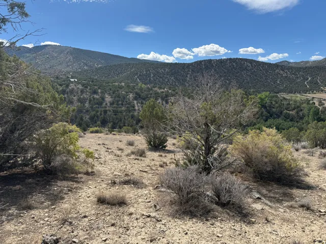 Mountainous backdrop with natural vegetation and distant trees