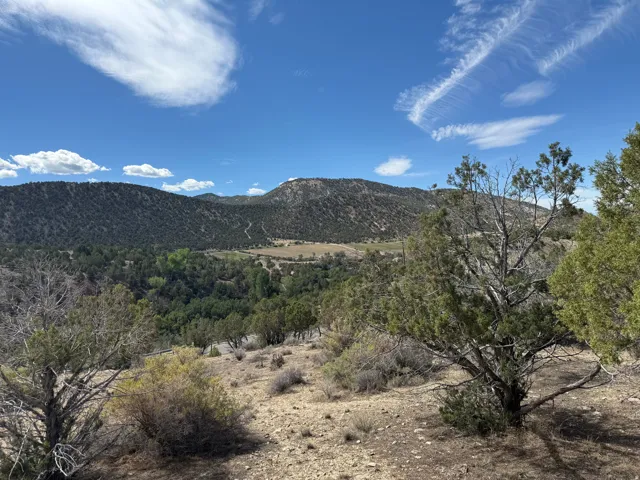 Expansive mountain terrain with varied natural flora