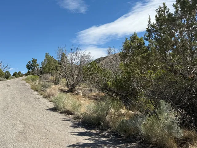 Paved surface with surrounding natural vegetation and distant mountain backdrop