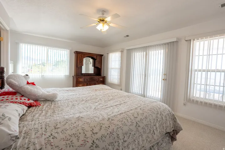 Expansive room featuring multiple windows, a ceiling fan, and carpeted flooring