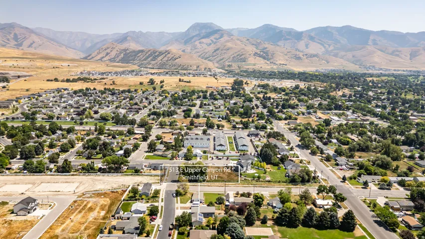Aerial perspective showcasing a developed neighborhood with mature trees and a prominent mountain backdrop