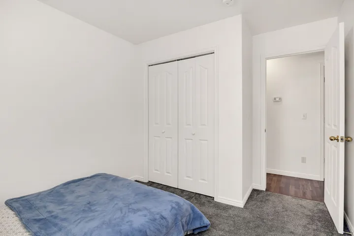 White walls, plush gray carpeting, and a white bi-fold closet door