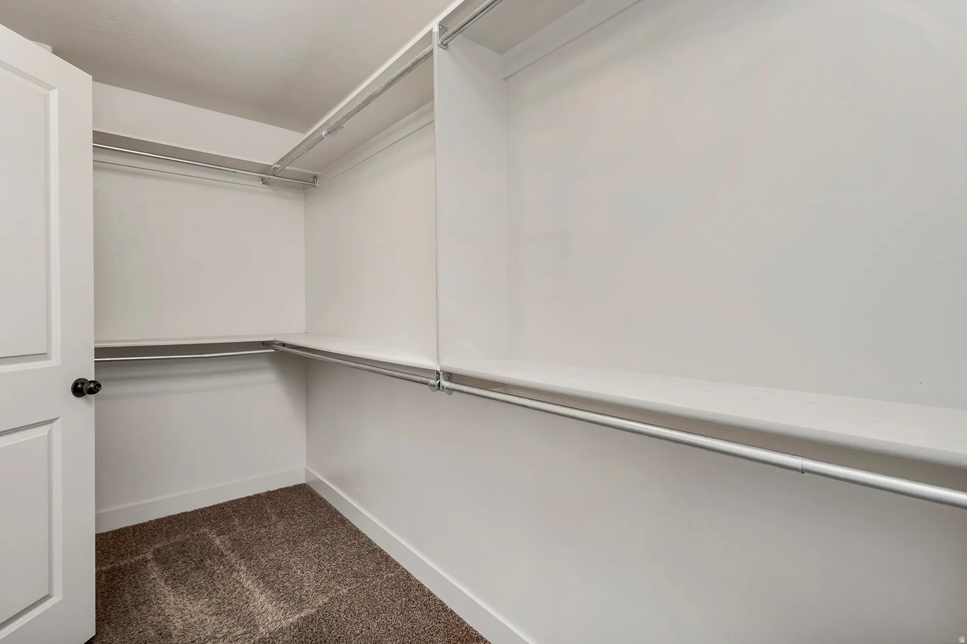 Walk-in closet with carpet flooring, white walls, and built-in shelving