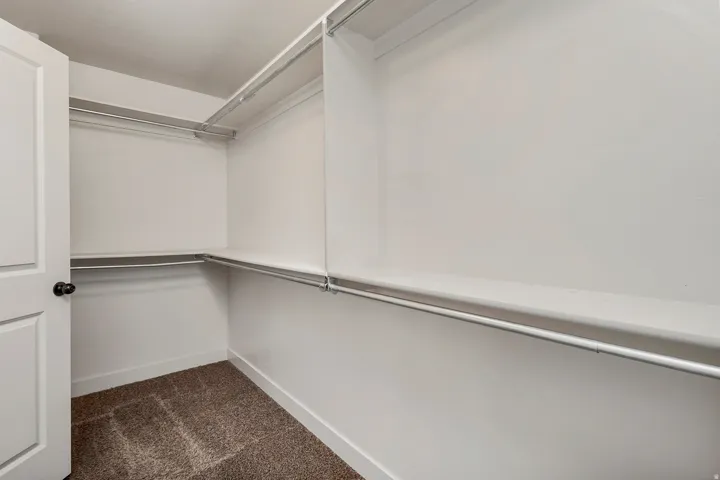 Walk-in closet with carpet flooring, white walls, and built-in shelving