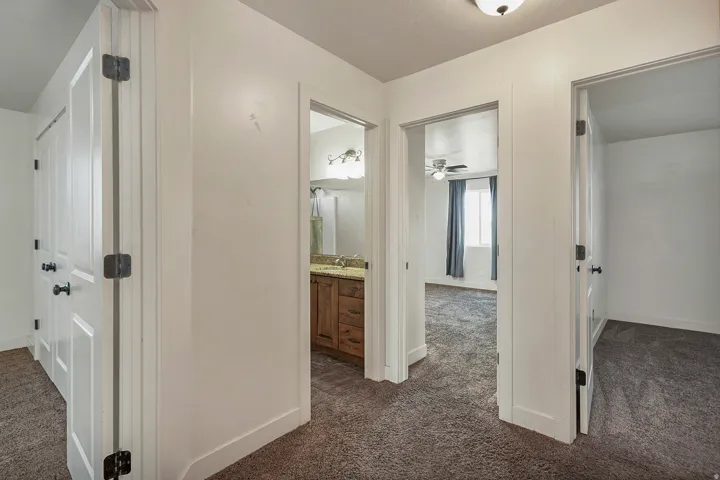 Carpet flooring throughout, white interior doors with black hardware, recessed wall paneling on doors, wood-finish vanity with countertop, and overhead lighting fixture