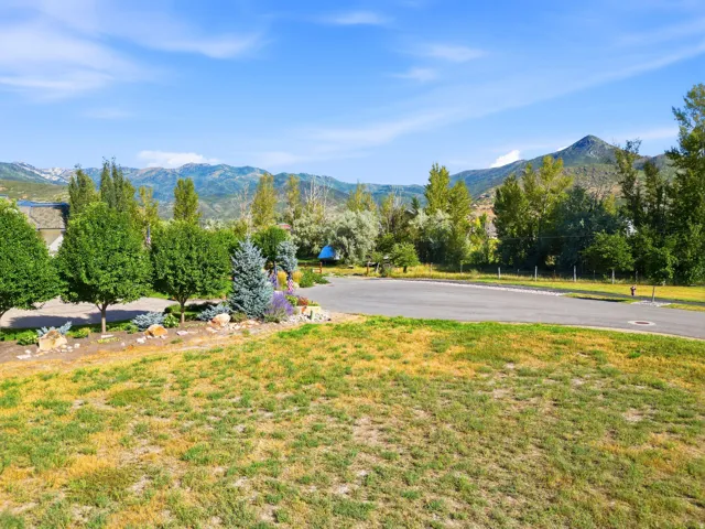 Paved driveway access, mature trees, landscaped planting beds, and distant mountain scenery