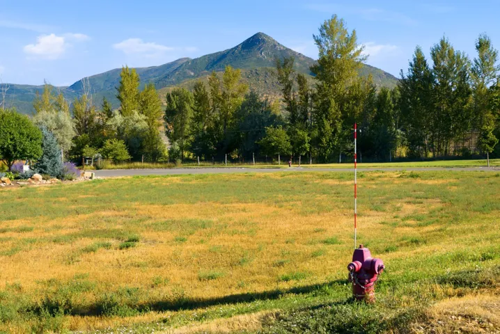 Expansive open field with natural grasses and distant mountain range