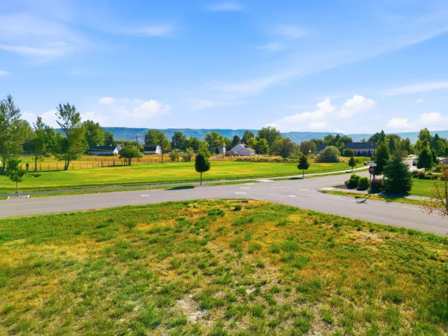 Expansive land with paved road access, surrounded by mature trees and distant hills