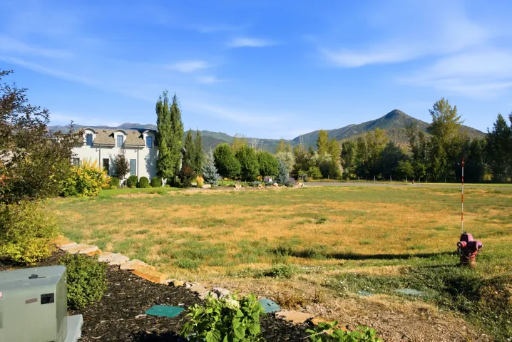 Expansive open grassy area with mature trees and a prominent mountain backdrop