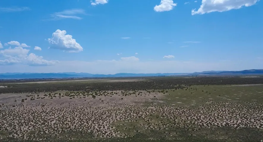 Expansive open terrain featuring natural vegetation and distant mountain ranges under a clear sky