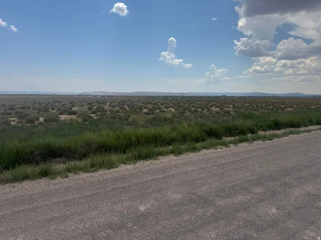 Expansive undeveloped land featuring natural vegetation and a visible unpaved road