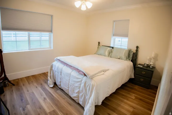 Wood-finish flooring, crown molding, two windows with blinds, and a ceiling fan with integrated lighting