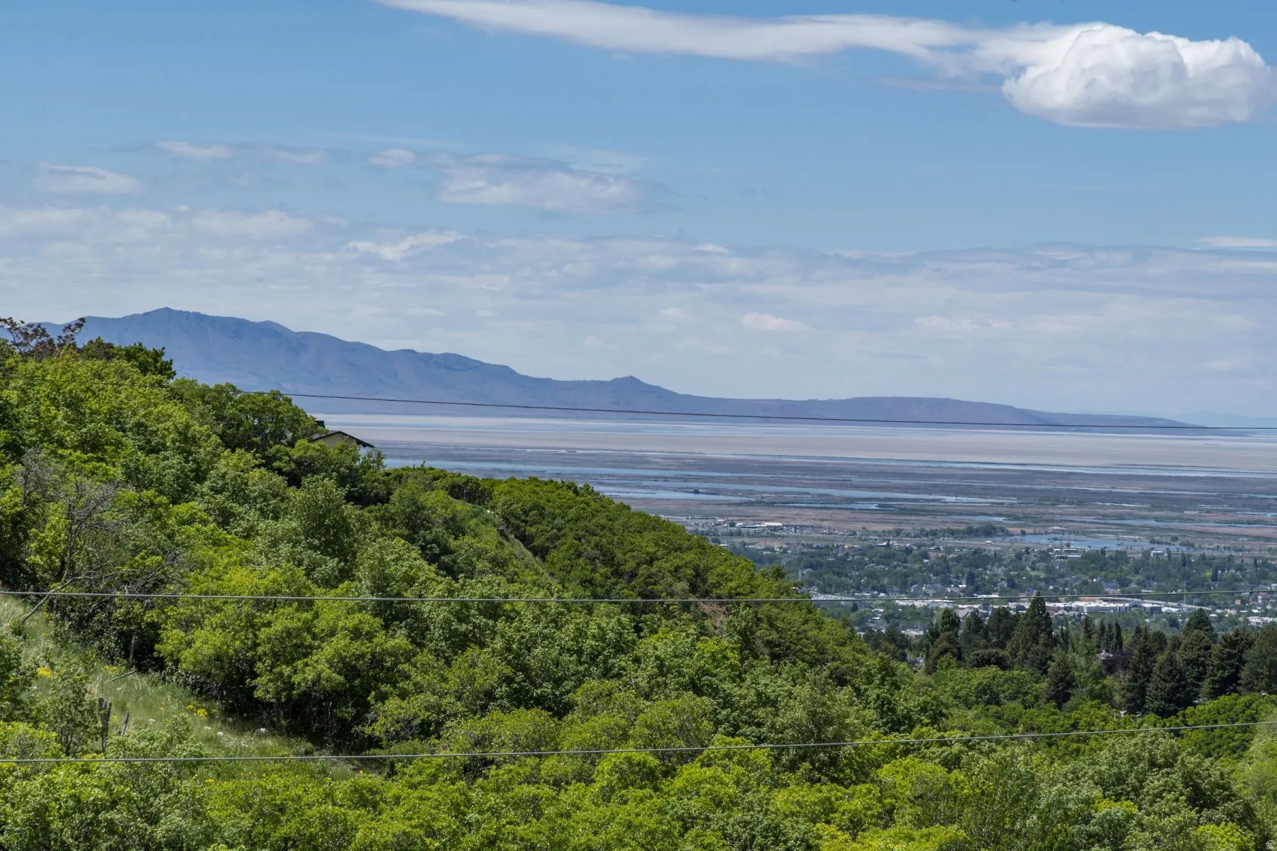 Expansive landscape featuring distant mountains, a large body of water, and a tree-covered hillside