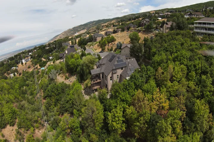 Stunning hilltop estate nestled among mature evergreens and towering trees