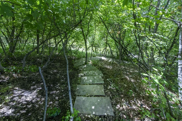 Stone paver pathway leading through a wooded area with mature trees and ground cover