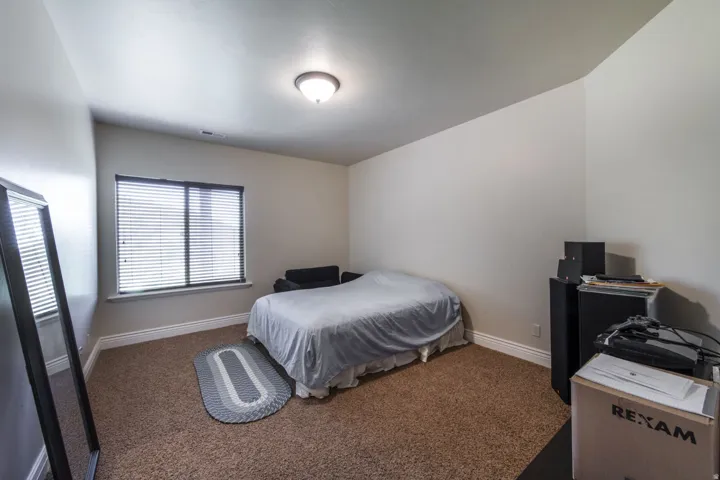 Wall-to-wall carpeting with a ceiling-mounted light fixture, and a window with blinds