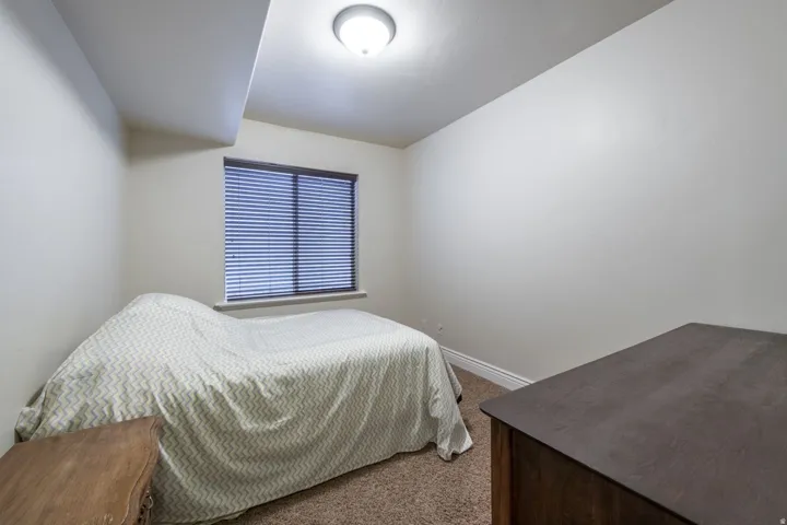 Neutral wall paint, carpet flooring, window with blinds, and ceiling-mounted light fixture
