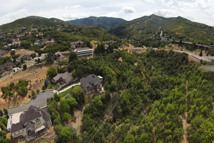 Expansive landscape featuring dense tree coverage and surrounding mountainous terrain