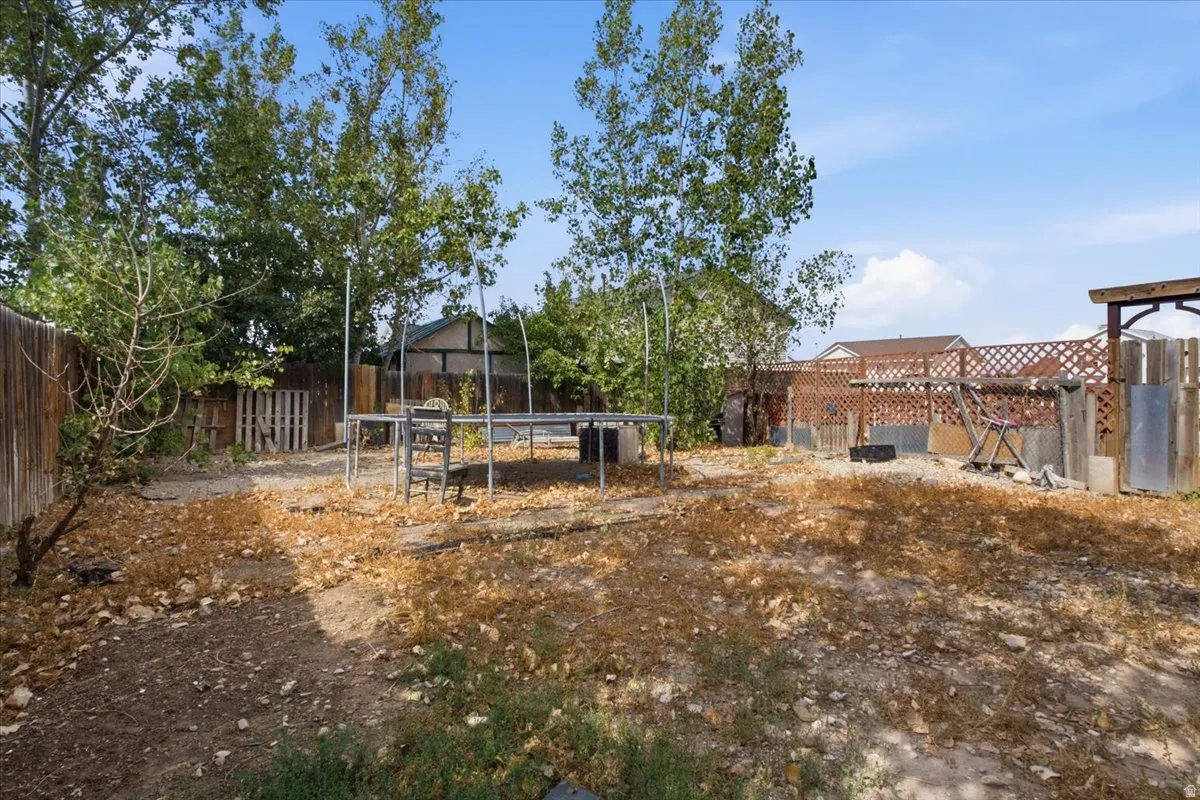 Back yard