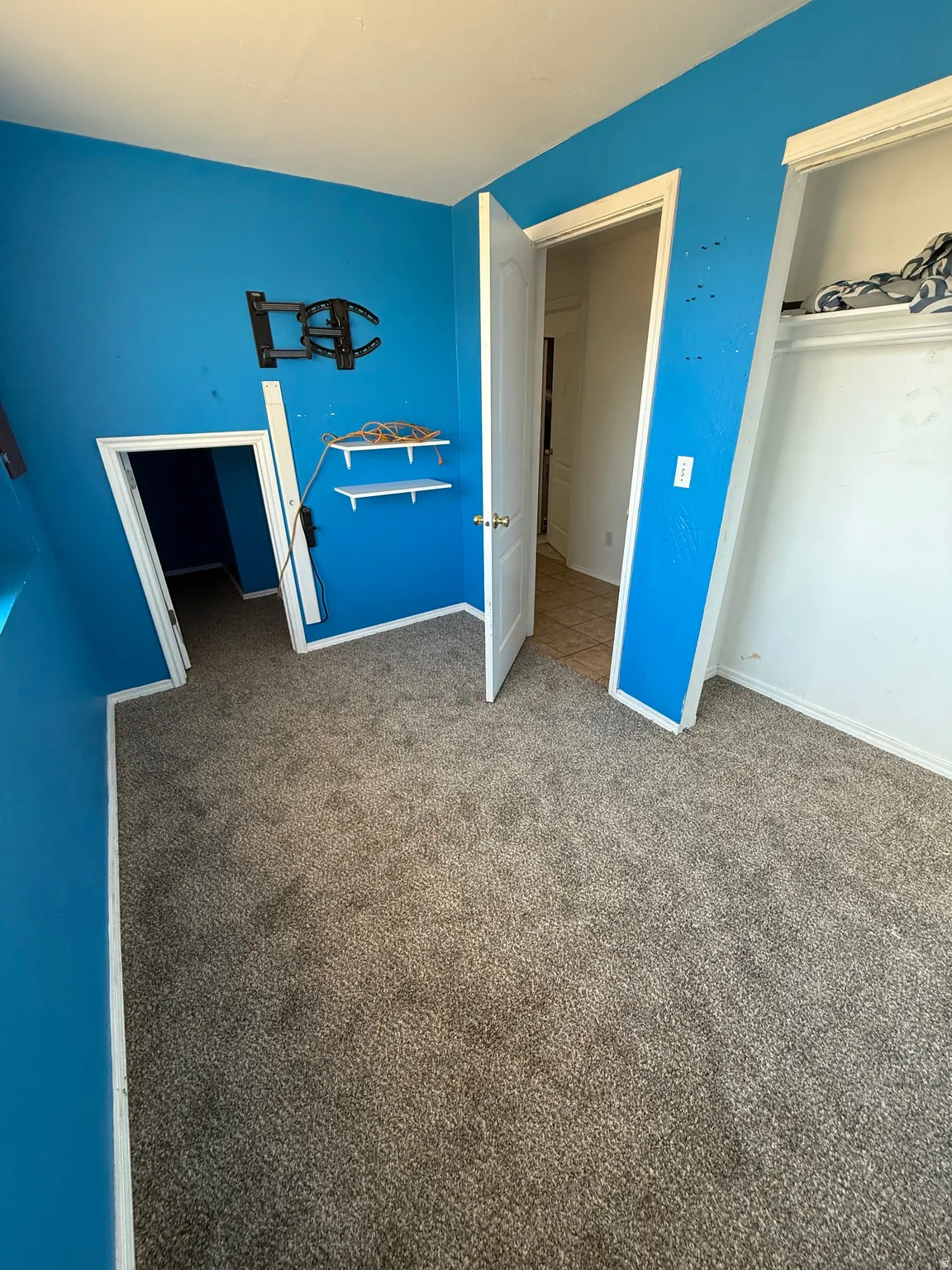 Wall-to-wall carpeting, built-in shelving, and white interior doors