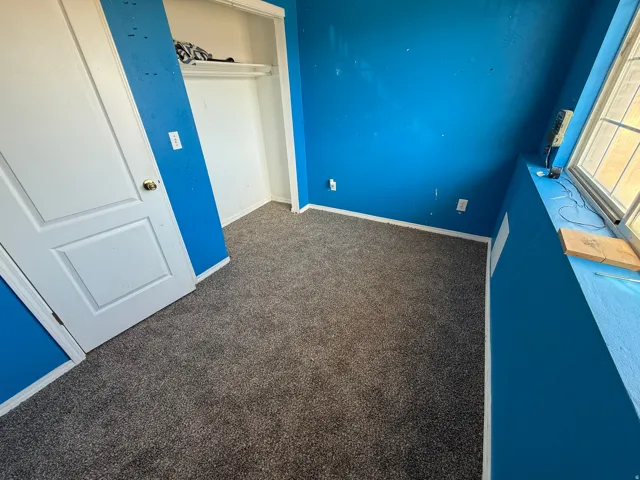 Wall-to-wall carpeting, window with natural light, and a built-in closet with shelving and hanging rod
