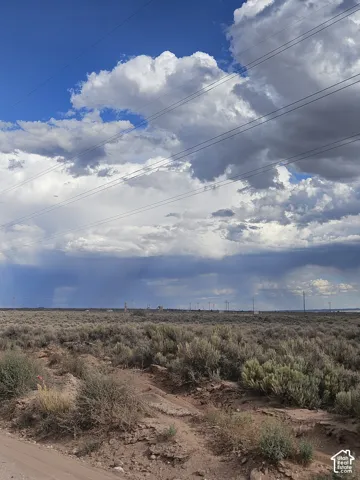 Expansive open land featuring diverse desert flora and distant utility infrastructure