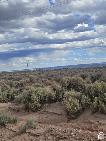 Expansive land featuring desert vegetation and clear sky