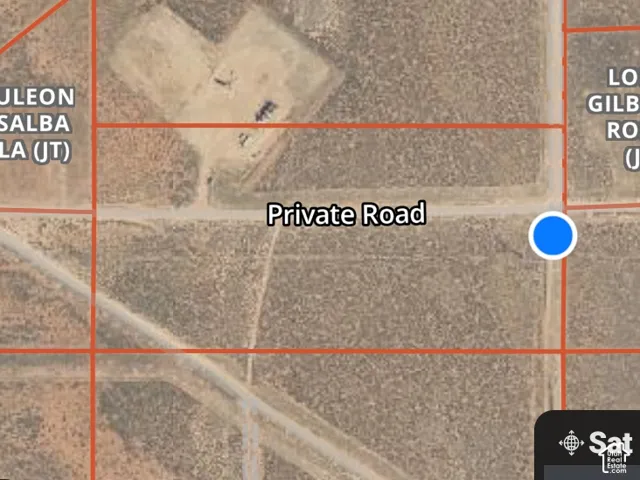 Digital Map with Parcel Overlay. Displaying property boundaries and owner details within a geographic information system interface