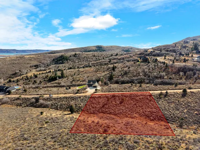 Expansive hillside lot with natural vegetation