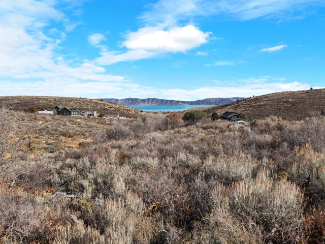 Expansive land with natural vegetation and distant water body
