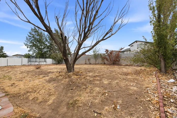 Expansive yard featuring a large mature tree, brick-edged border, and perimeter fencing