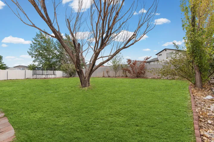 Manicured lawn with mature trees and a privacy fence