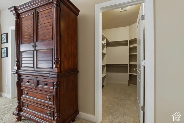 Walk-in closet with carpet flooring, shelving, and hanging rods