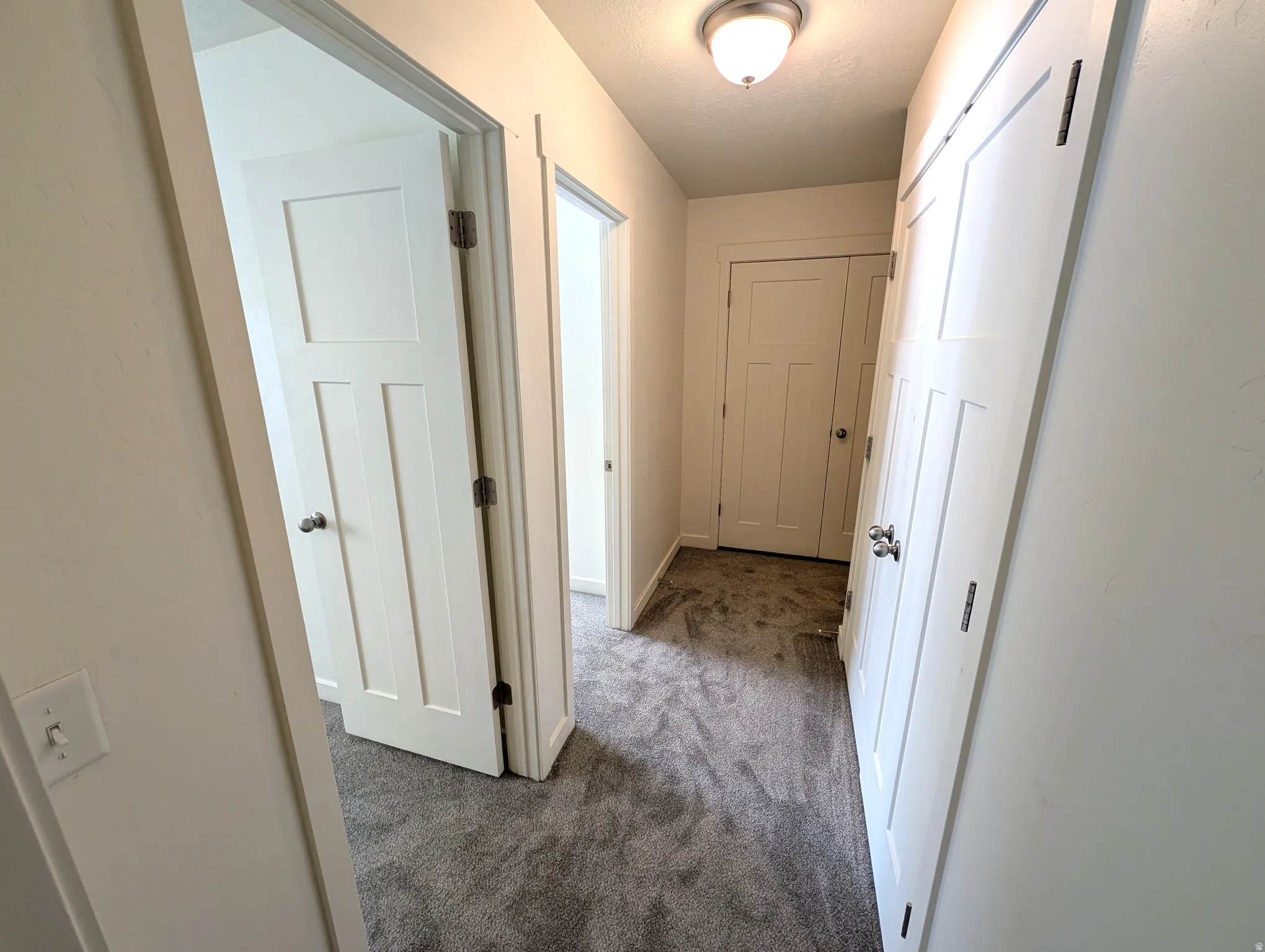 Hallway with grey carpeting, white panel doors, and a flush mount ceiling light