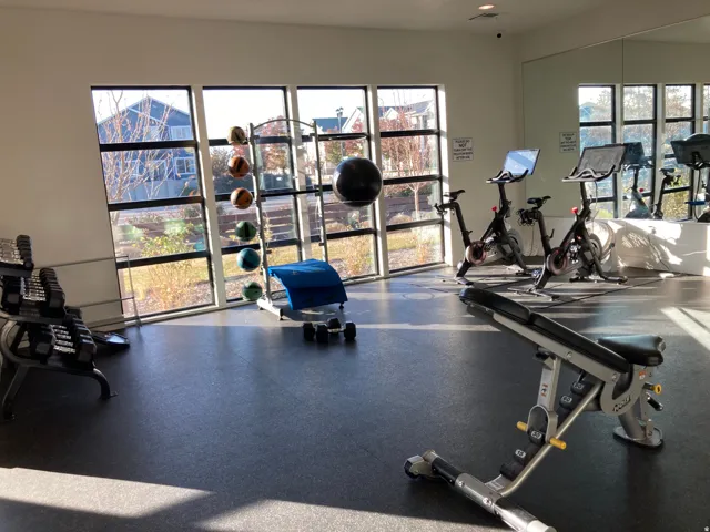 Expansive fitness area with large windows, durable rubber flooring, and mirrored wall