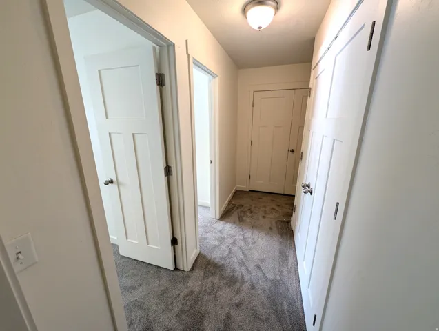 Hallway with grey carpeting, white panel doors, and a flush mount ceiling light