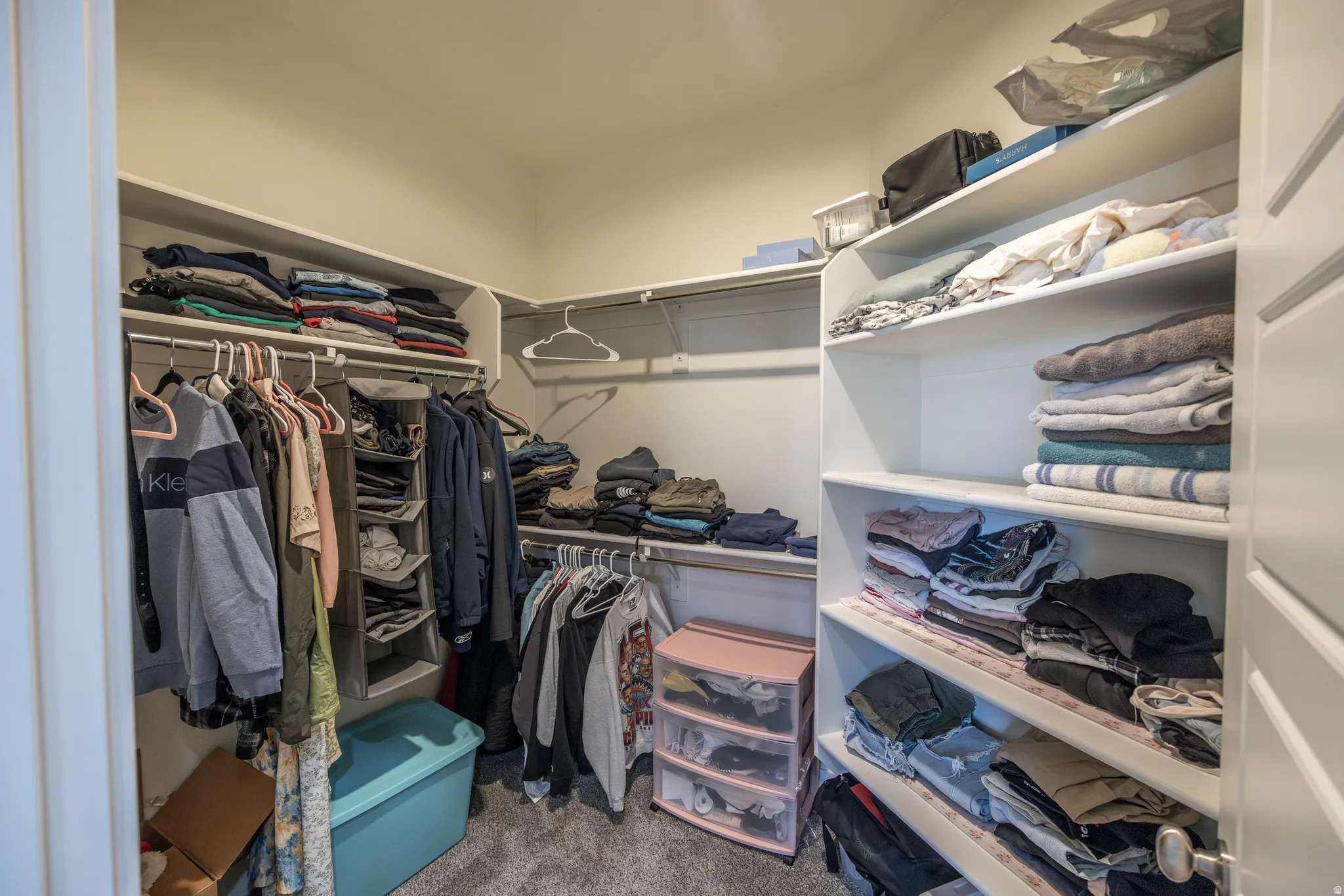 Built-in white shelving, integrated hanging rods, and light gray carpeted flooring