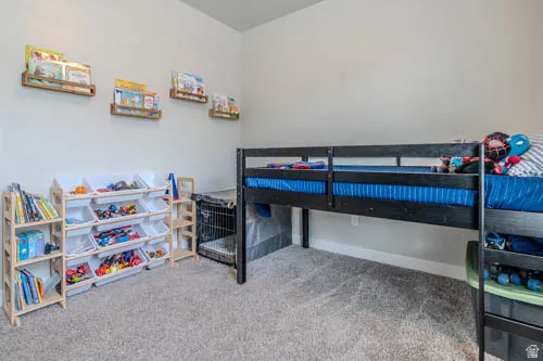 Wall-mounted shelving, built-in storage units, and carpet flooring