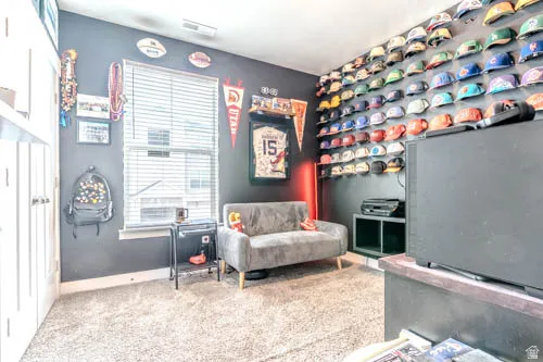 Dedicated recreation room featuring slate-blue accent walls, carpeted flooring, and extensive built-in display shelving along the upper wall