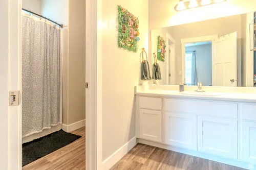 Spa-inspired primary bathroom featuring a dual-sink vanity with white cabinetry, large framed mirror with integrated lighting, and wood-finish flooring